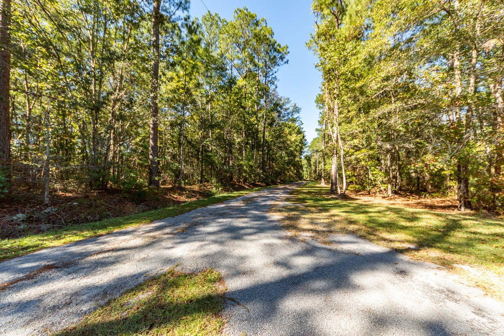 Photo of 432 Chaparral Lane, Summerville, SC 29486 (MLS # 26029395)