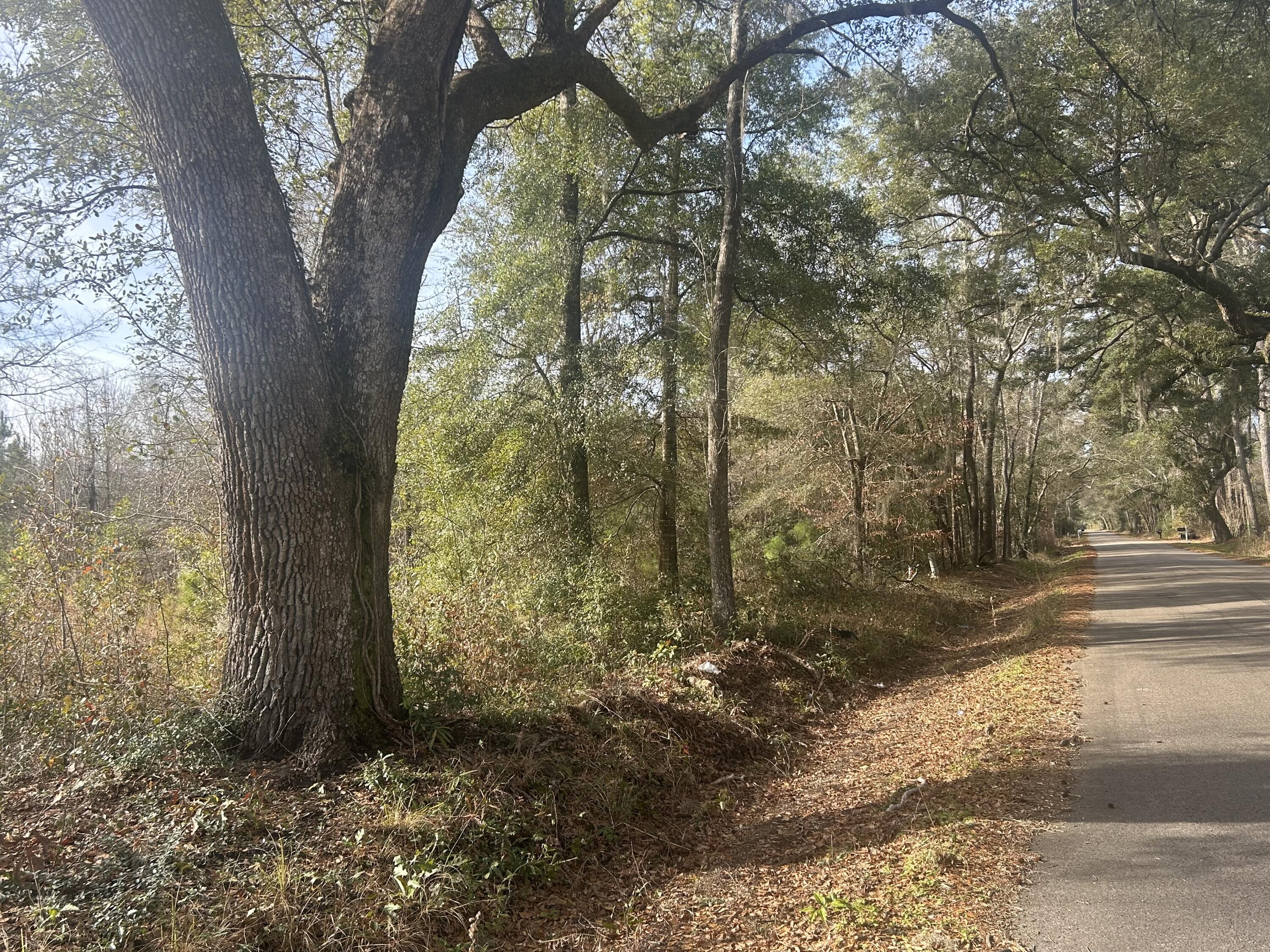 1 Old Jacksonboro Road