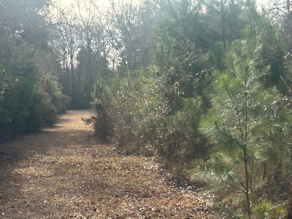 Photo of 1 Old Jacksonboro Road, Ravenel, SC 29470 (MLS # 26001901)