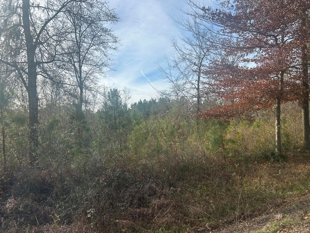 Photo of 1 Old Jacksonboro Road, Ravenel, SC 29470 (MLS # 26001901)