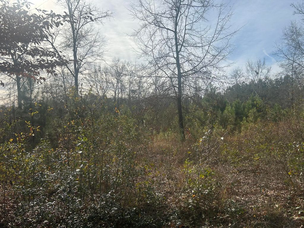 Photo of 1 Old Jacksonboro Road, Ravenel, SC 29470 (MLS # 26001901)