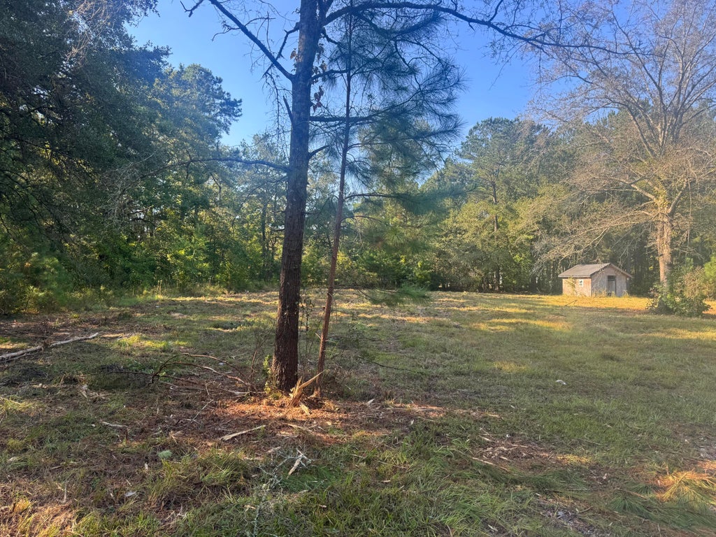 Photo of 171 Winningham Road, Summerville, SC 29483 (MLS # 26028645)