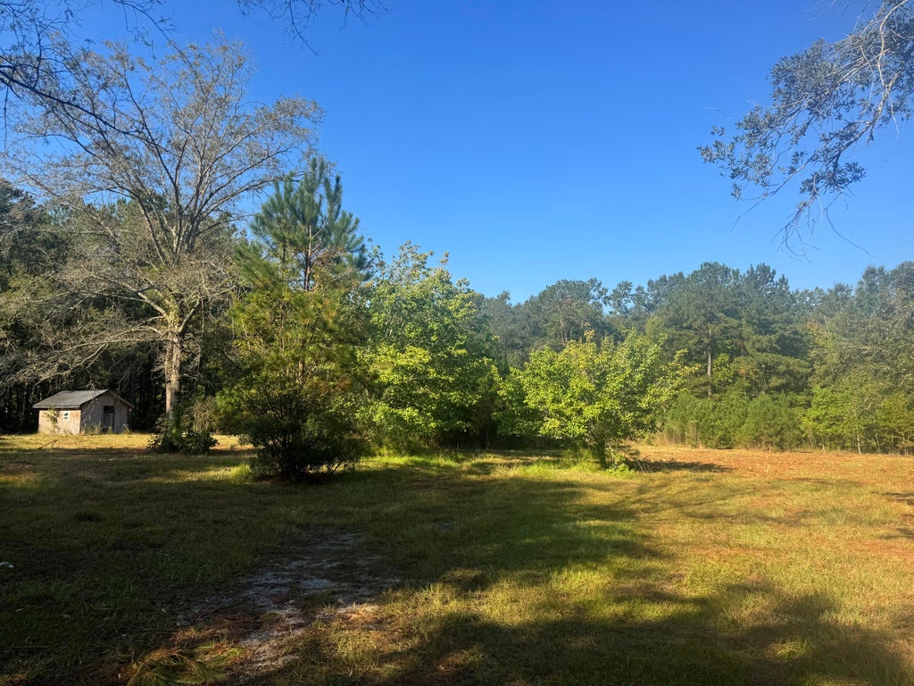 Photo of 171 Winningham Road, Summerville, SC 29483 (MLS # 26028645)