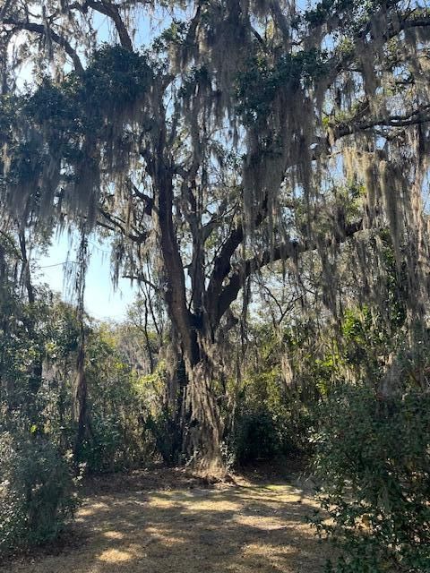 A home in Charleston