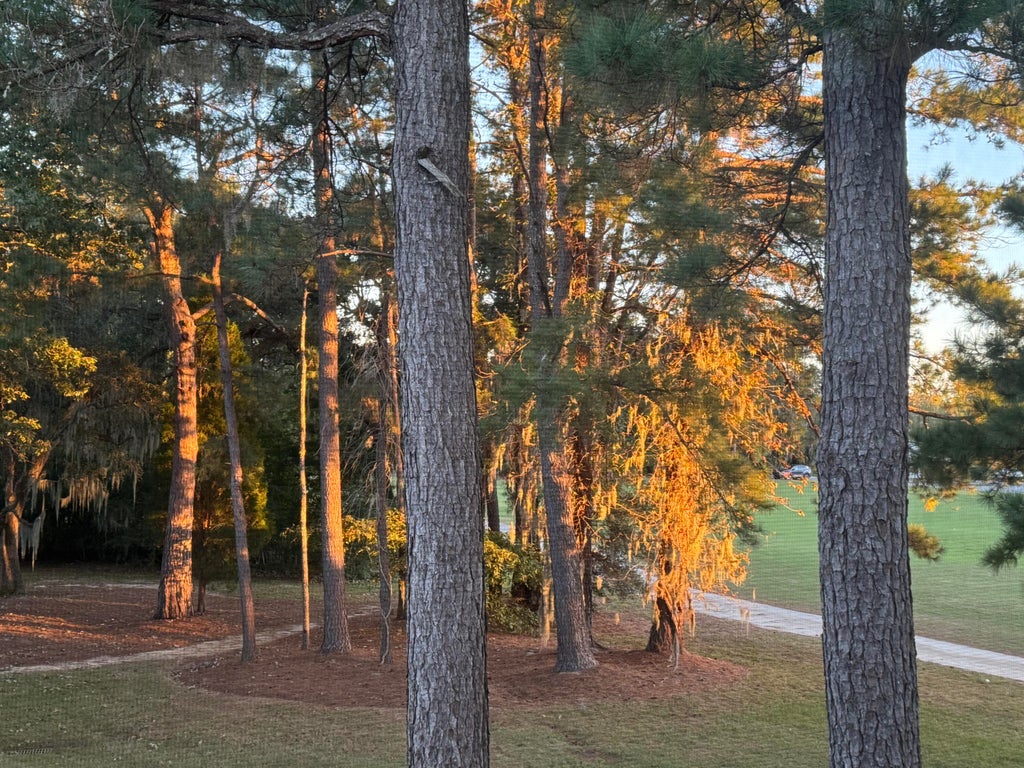 Photo of 182 Golfview Lane, Summerville, SC 29485 (MLS # 26018770)