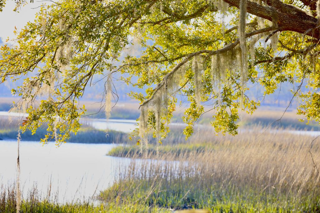 Photo of 4559 Smoak Road, Meggett, SC 29449 (MLS # 26007505)