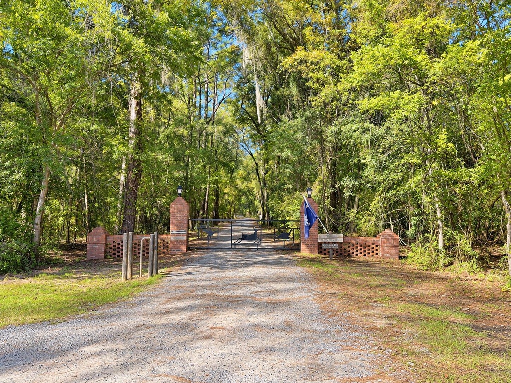 Photo of 9450 Savannah Highway, Adams Run, SC 29426 (MLS # 26027783)
