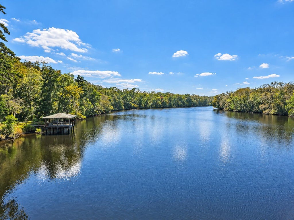 Photo of 9450 Savannah Highway, Adams Run, SC 29426 (MLS # 26027783)
