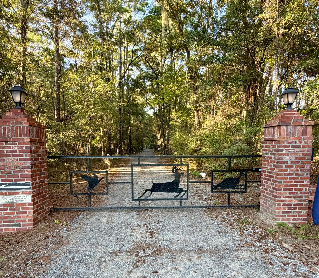 Photo of 9450 Savannah Highway, Adams Run, SC 29426 (MLS # 26027783)