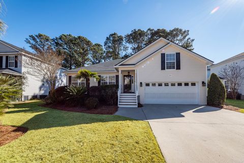Photo of 1049 Clearspring Drive, Charleston, SC 29412 (MLS # 25031234)