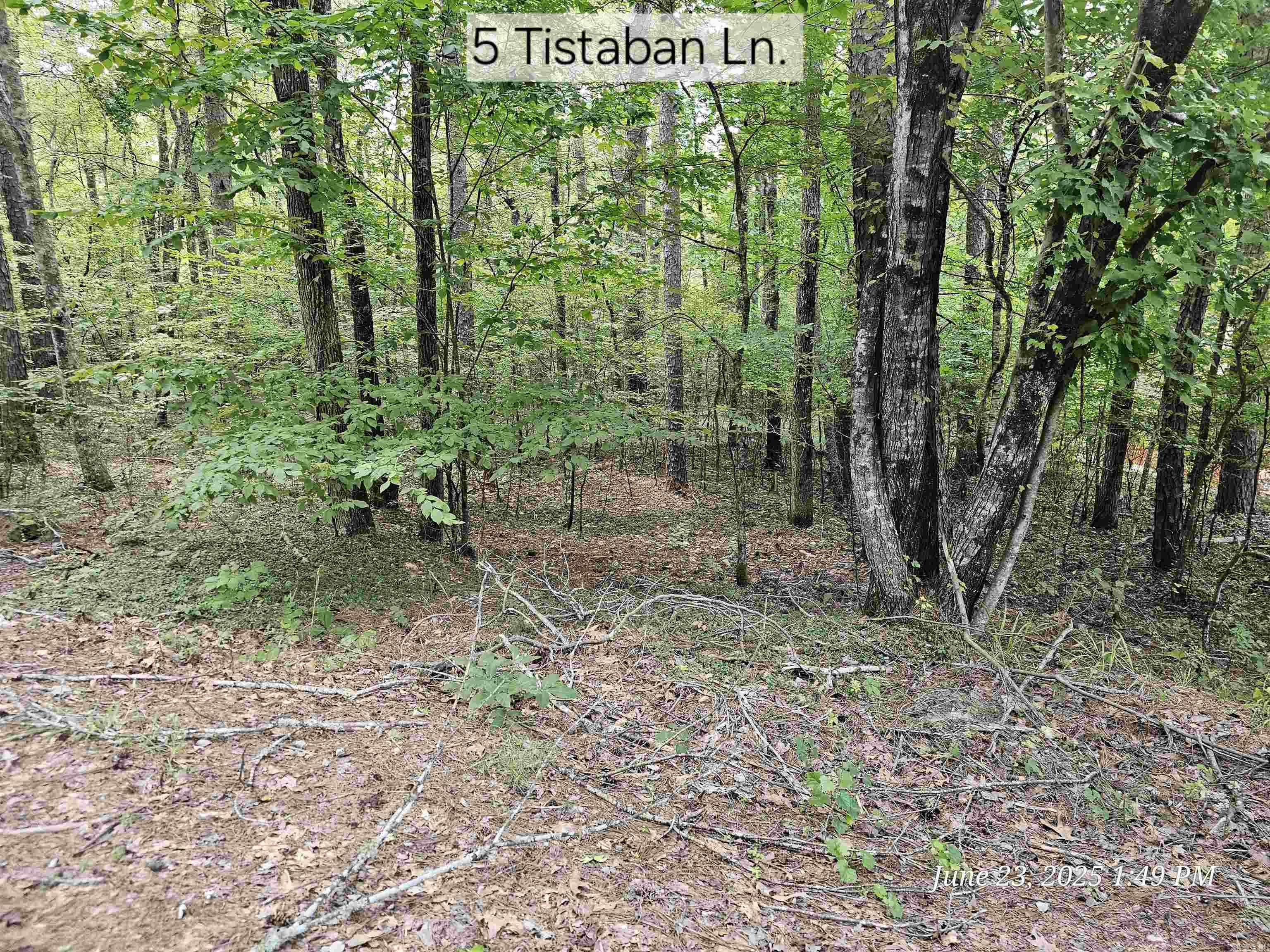 Nice level lot on the west side of HSV with utilities present. Located in a cul-de-sac. There's a $300 buy-in fee for new members to HSV on unimproved lots that's collected at closing.
