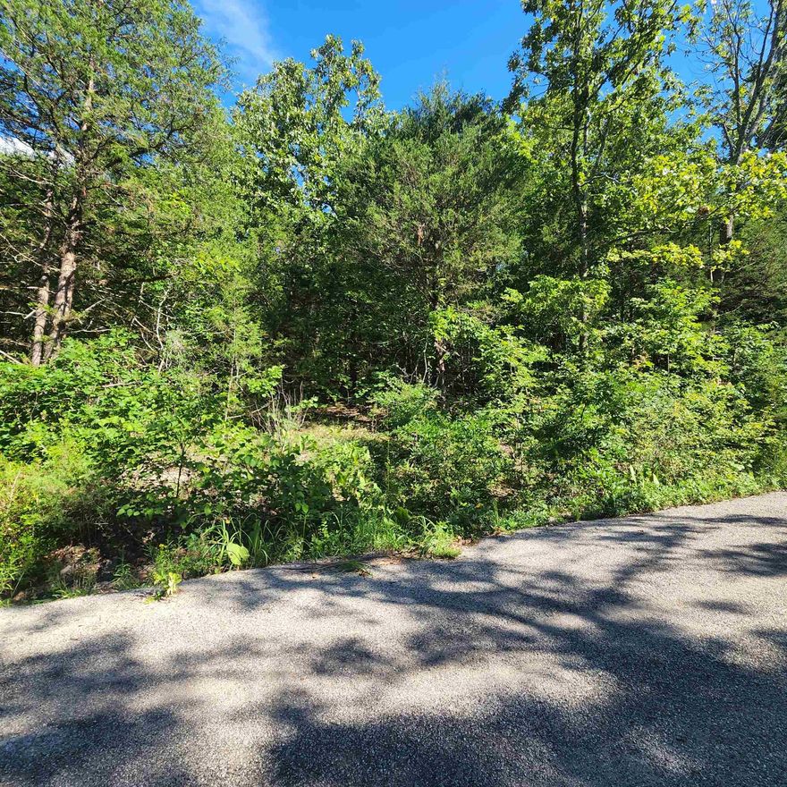 Beautiful wooded hillside lot in Cherokee Village. Secluded with no neighbors in sight but still just minutes away from the Cherokee Village town center or the 4 Lane to get out for shopping, dining and entertainment. Come pick out your building spot for your getaway cabin or full time home. Cherokee Village has Two 18-Hole golf courses, 7 Lakes for fishing, 2 of them for Skiing. and the beautiful Southfork River flowing right through it. Come for a visit and stay for a lifetime.