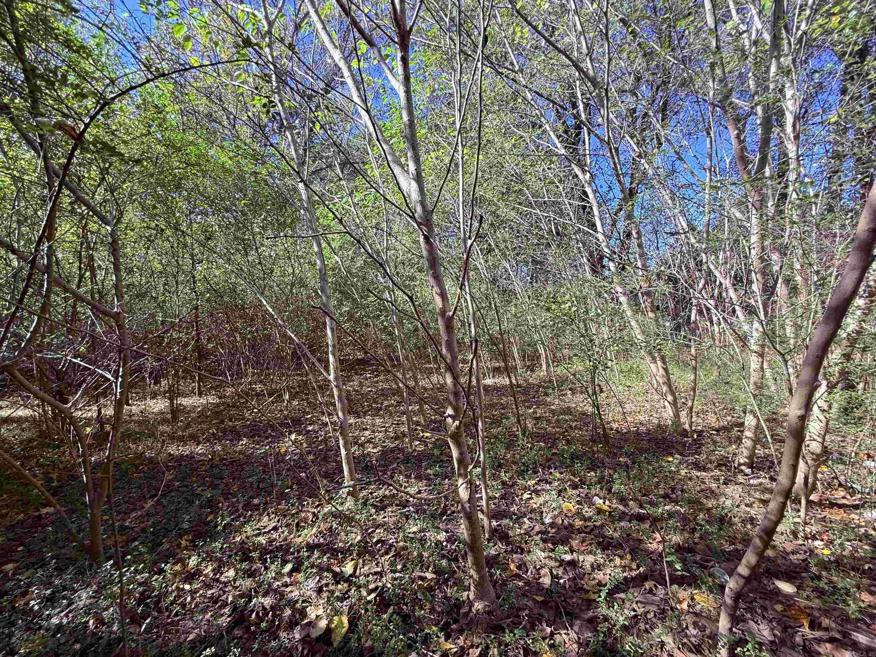 Metes & Bounds - Commercial Sale