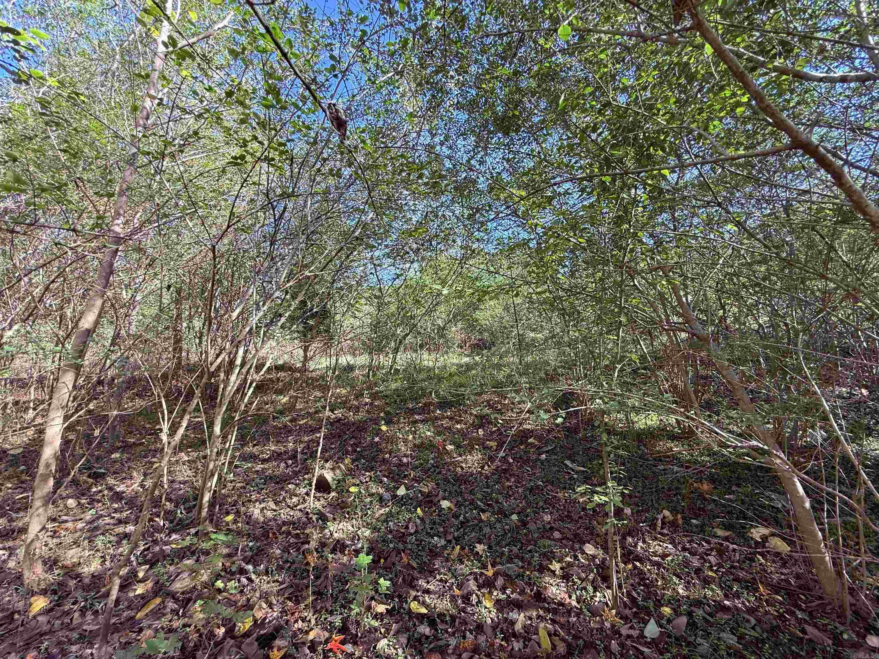 Metes & Bounds - Commercial Sale