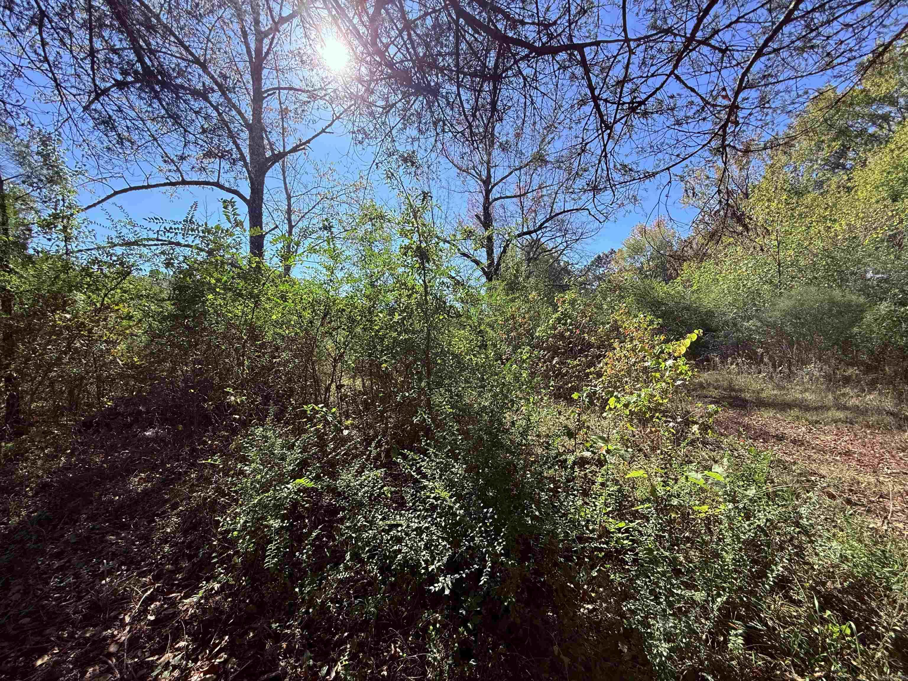 Metes & Bounds - Commercial Sale