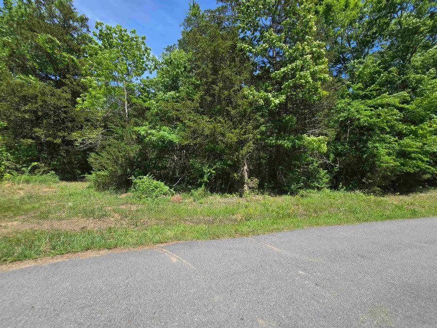 Discover 2.5 acres of land just outside the city of Conway, offering the perfect balance of space and convenience. With city water and electricity already available on the property, it’s ready for your vision to take shape. This flat, buildable lot provides endless potential for creating your ideal home.