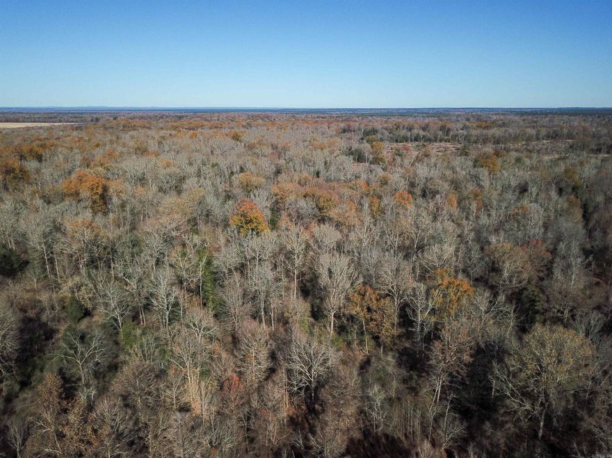 240 ± acres combining hardwood timber, natural regeneration, and open areas ready for food plots. Excellent hunting layout with funnels, edge habitat, and diverse terrain that holds deer and turkey. Seller will consider selling as a whole 240 or dividing into smaller tracts (200, 40, or two 120s). Flexible setup for recreation and long-term land investment.