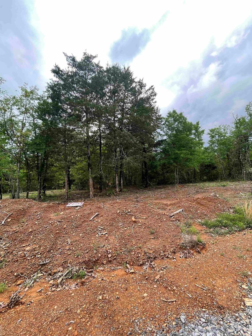 Excellent proposed one acre lots just a stone's throw away from Hillbrook Farms wedding venue! Property is 8 minutes from Greenbrier and 24 minutes from Conway ensuring a wide range of amenities within a short drive. Gas, water, electricity readily available. Damascus water, Petit Jean Electric, Summit Gas. See proposed sketch for clarification. This lot is highlighted Green on the sketch and features a great view of the pond across Heritage Ln! Agents see remarks.