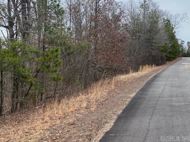 Holley Mountain Airpark - Land