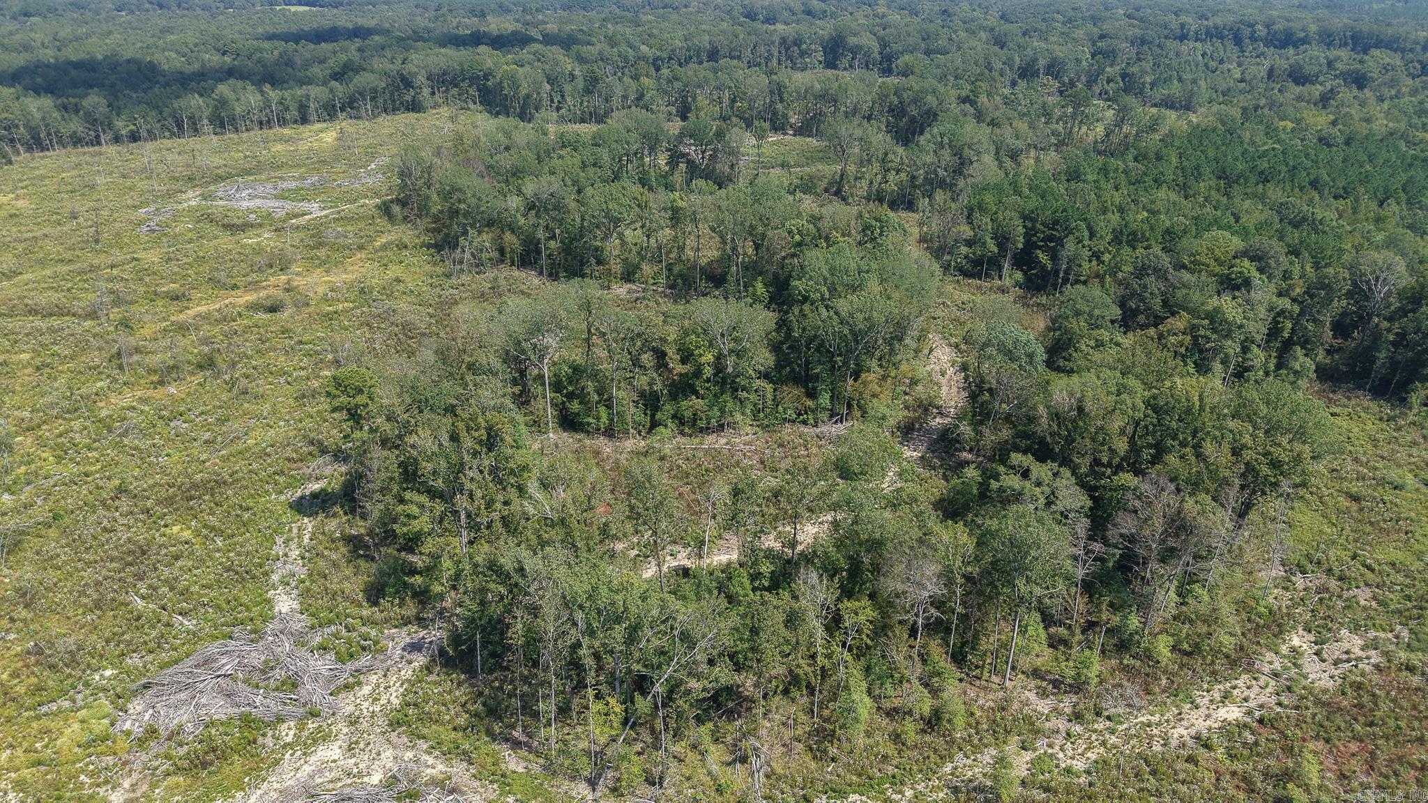 This 120-acre tract in Sevier County, Arkansas, offers a strong foundation for a recreational and hunting property. The timber has been harvested, leaving the land open for new growth and improvement projects, while a solid stand of oak remains along the streamside management zone (SMZ) that runs with the creek. This oak corridor provides a natural travel route for wildlife and contributes to a healthy habitat base. The property supports populations of whitetail deer, wild turkey, and feral hogs, making it suitable for multiple types of hunting. Its location adjoining Pond Creek Wildlife Management Area further enhances its value for recreational use, as it provides direct access to thousands of additional acres of managed land. This proximity opens opportunities for extended hunting and wildlife experiences while maintaining the benefit of private ownership. Some areas of the property will require cleanup and management due to recent harvest activity, but this also allows the next owner to shape the land according to their vision. Whether used for habitat restoration, food plots, trails, or a mix of timber and recreational projects, the land provides flexibility.