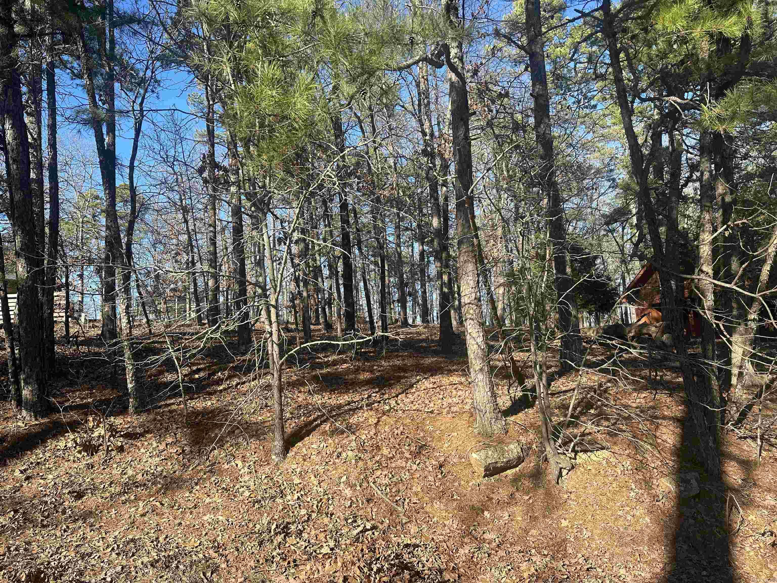 Residential, wooded lot in a beautiful, established neighborhood. Only 6 minutes from the West Gate, and close to parks, pickleball court, outdoor pool, trails, restaurants, and many other amenities!