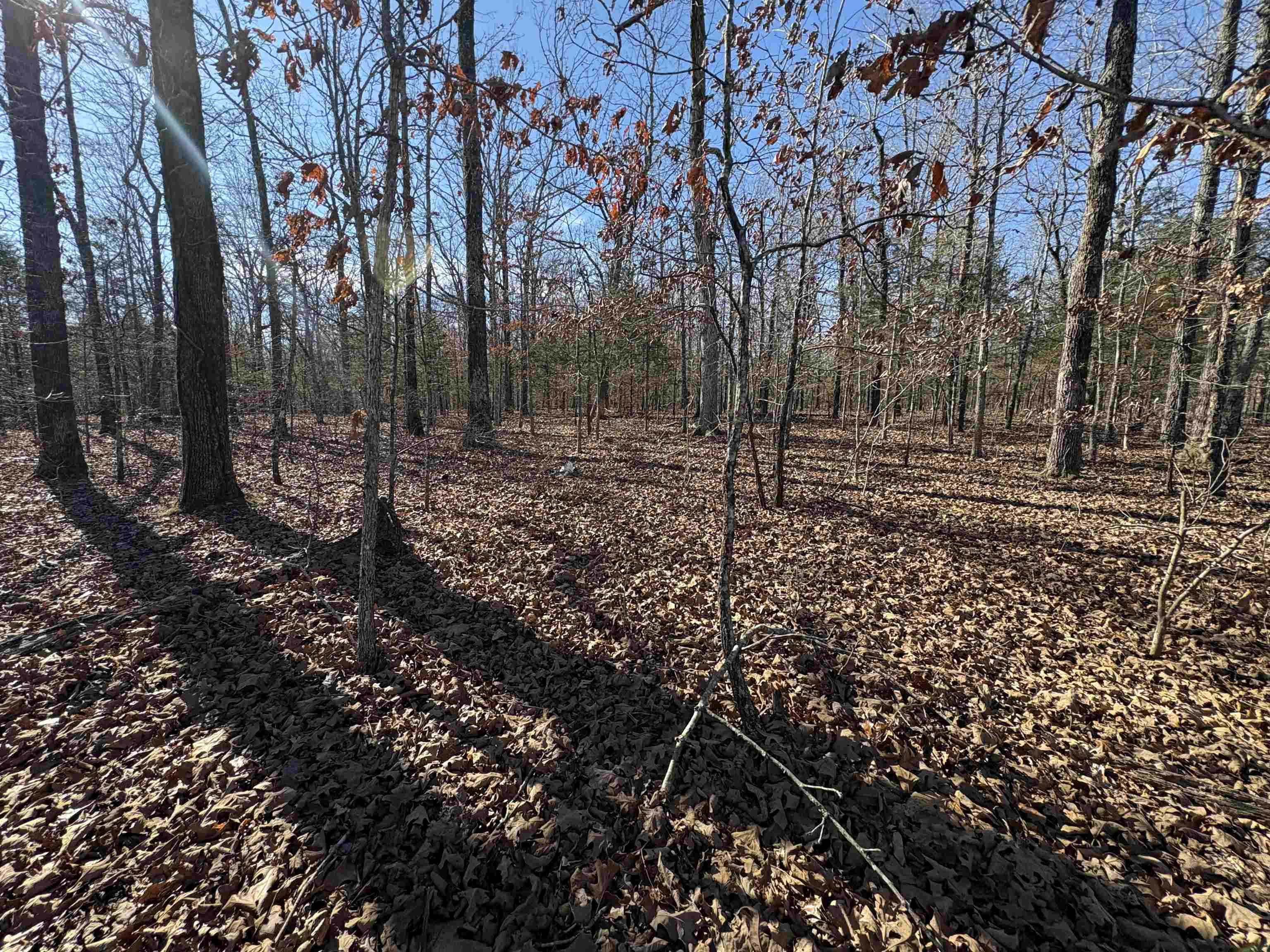 Metes & Bounds - Land