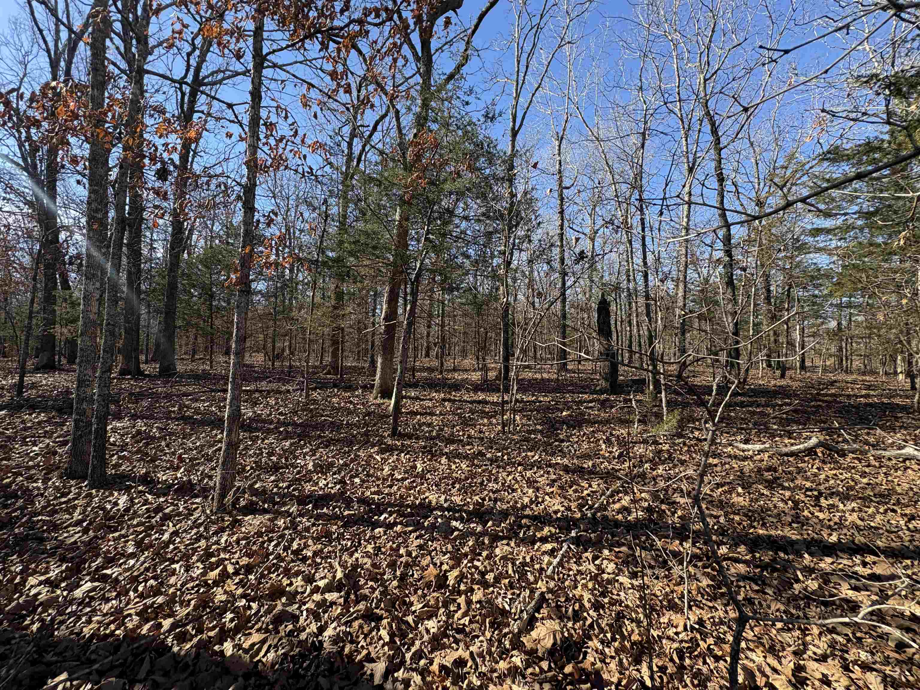 Metes & Bounds - Land