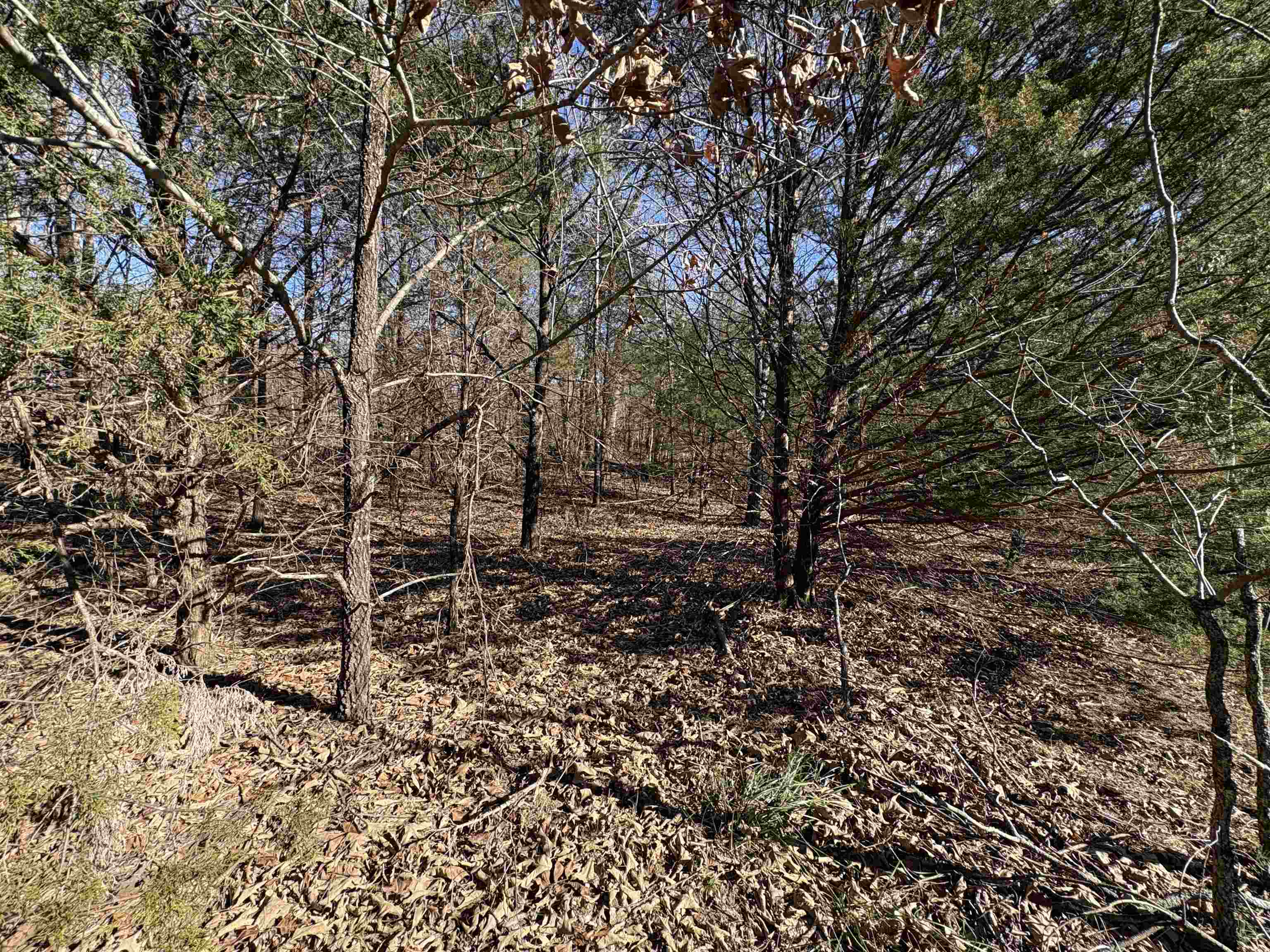 Metes & Bounds - Land