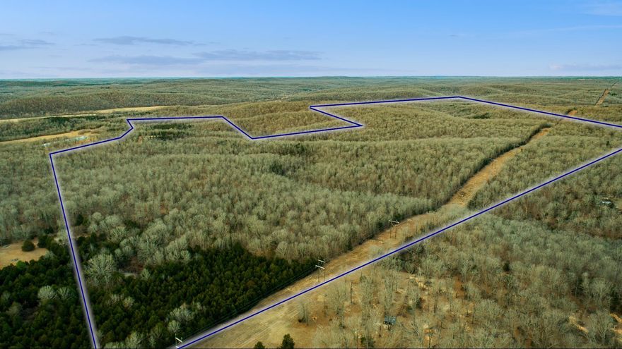 293.91± acres of prime Ozark foothills hunting land, ideally located just 15 minutes from downtown Hardy & across the road from the world-famous Spring River. This expansive tract offers a rare combination of size, access, & recreational value in one of North Arkansas’s most sought-after outdoor regions. The property features quality hardwood timber, diverse terrain, & abundant wildlife habitat, making it exceptional hunting ground for whitetail deer, turkey, & other native game. Multiple natural travel corridors, timber cover, & elevation changes create ideal conditions for both seasoned hunters & conservation-minded landowners. With county road access, highway frontage easement access, electric on site, & a completed survey, this property is well-positioned for future development or long-term investment. There is a substantial amount of level ground throughout, along with numerous elevated building sites offering privacy and seclusion—perfect for a hunting cabin, lodge, or private retreat. Whether you’re looking to establish a legacy hunting property, invest in quality Ozark land, or enjoy unmatched outdoor recreation near the Spring River, this tract delivers many opportunities!