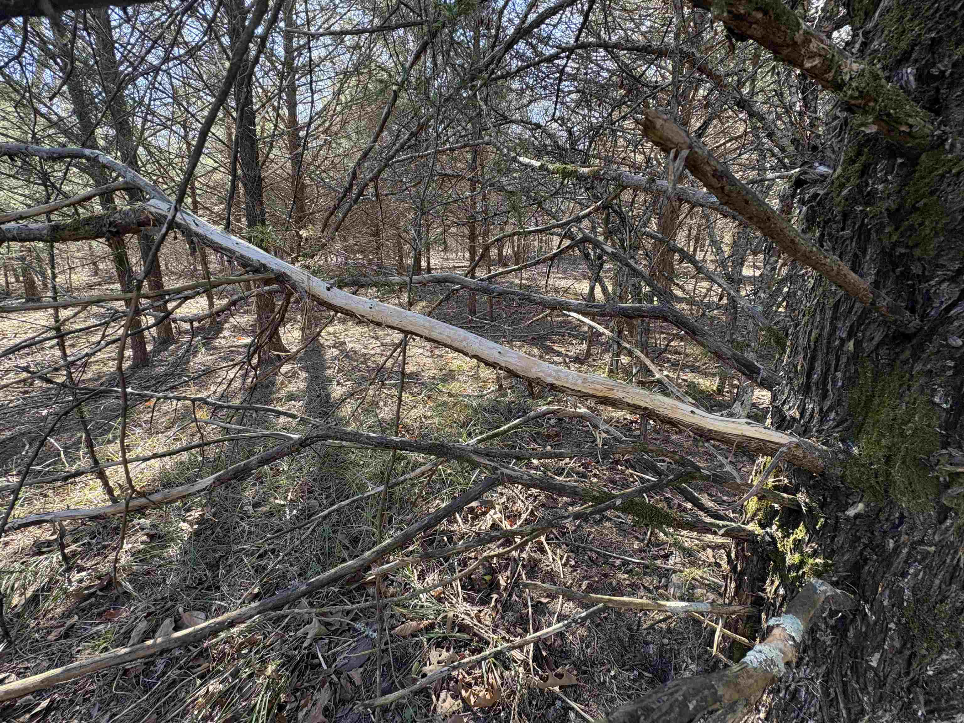 Metes & Bounds - Land