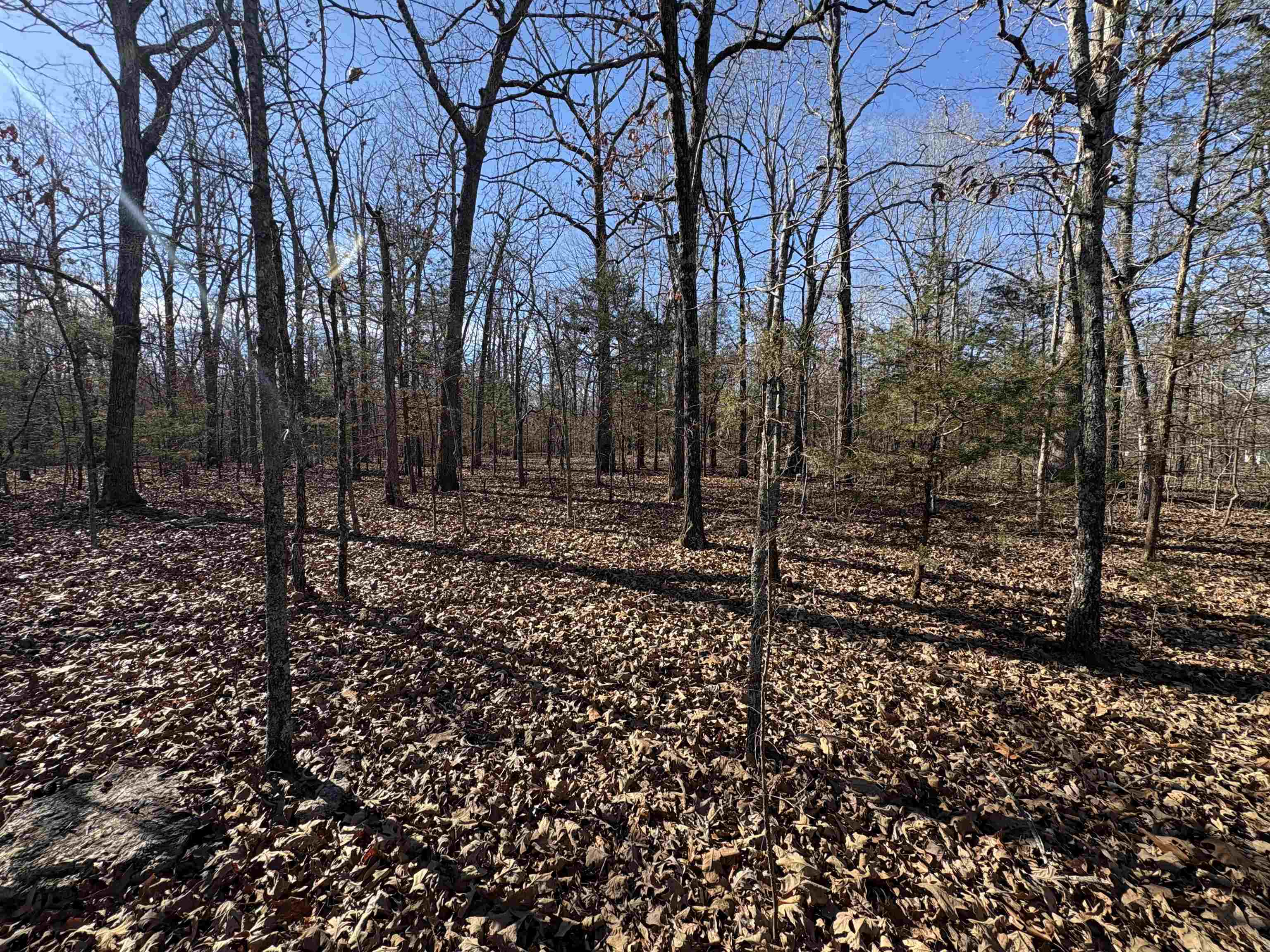 Metes & Bounds - Land