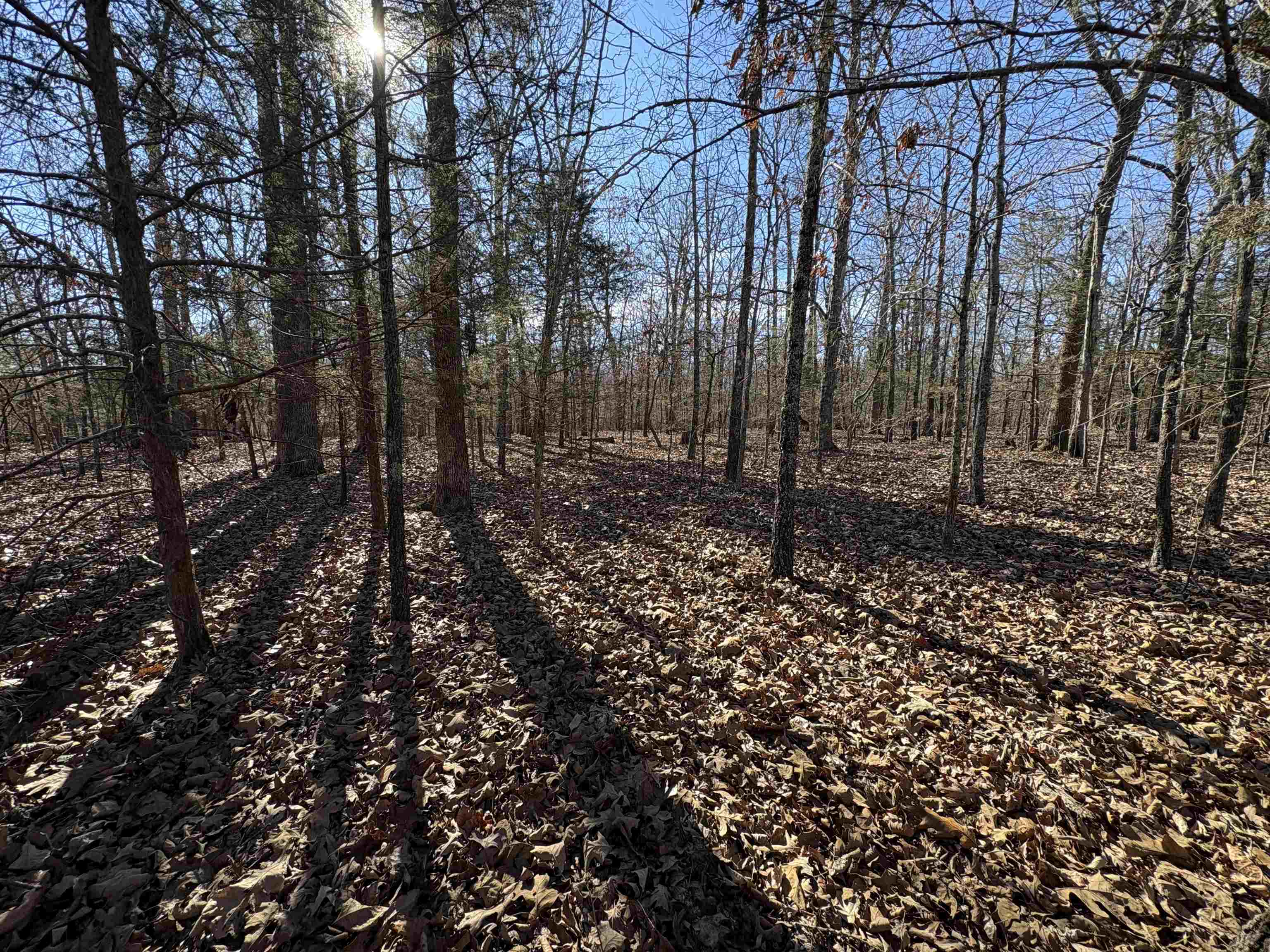 Metes & Bounds - Land