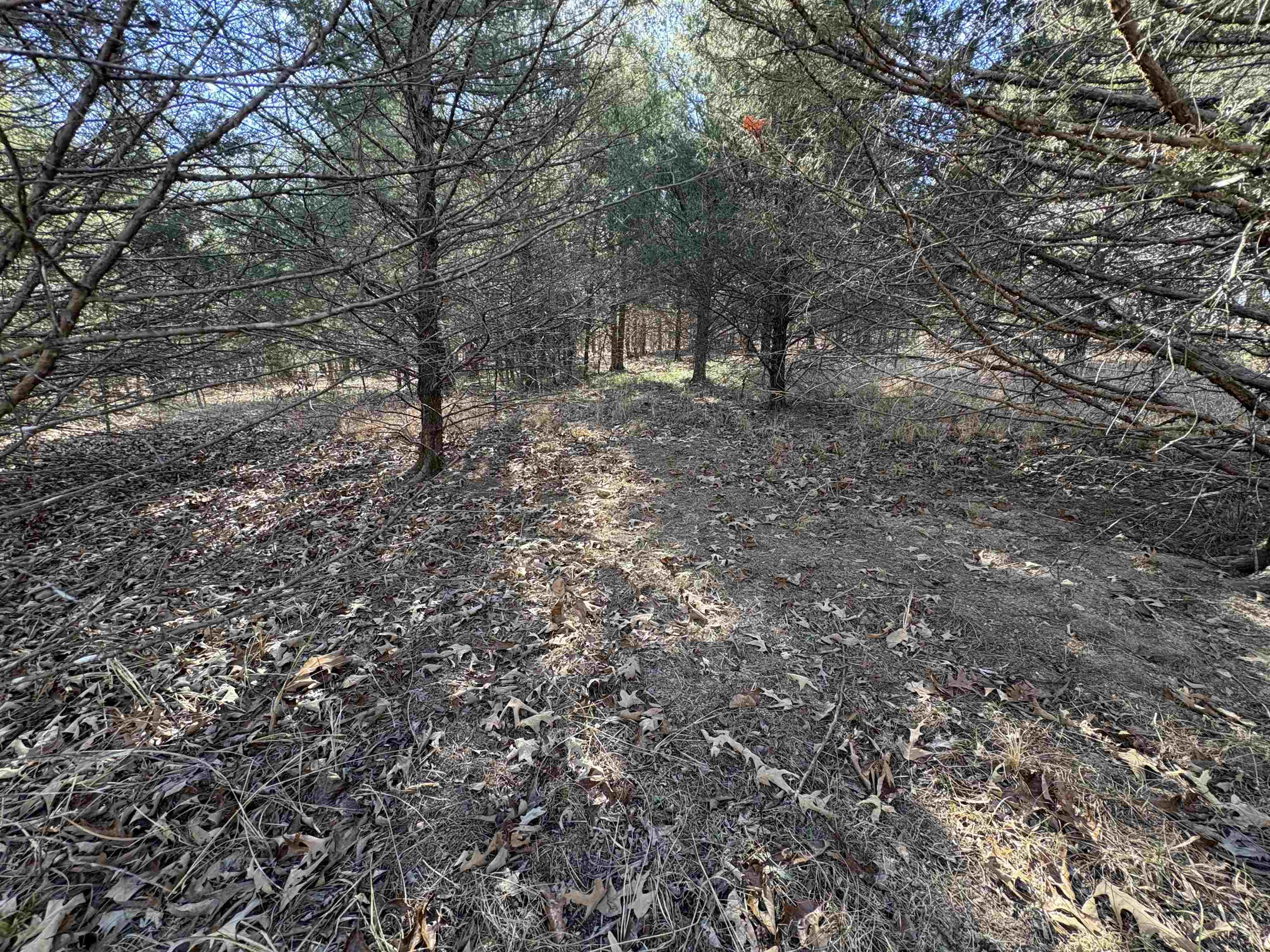 Metes & Bounds - Land