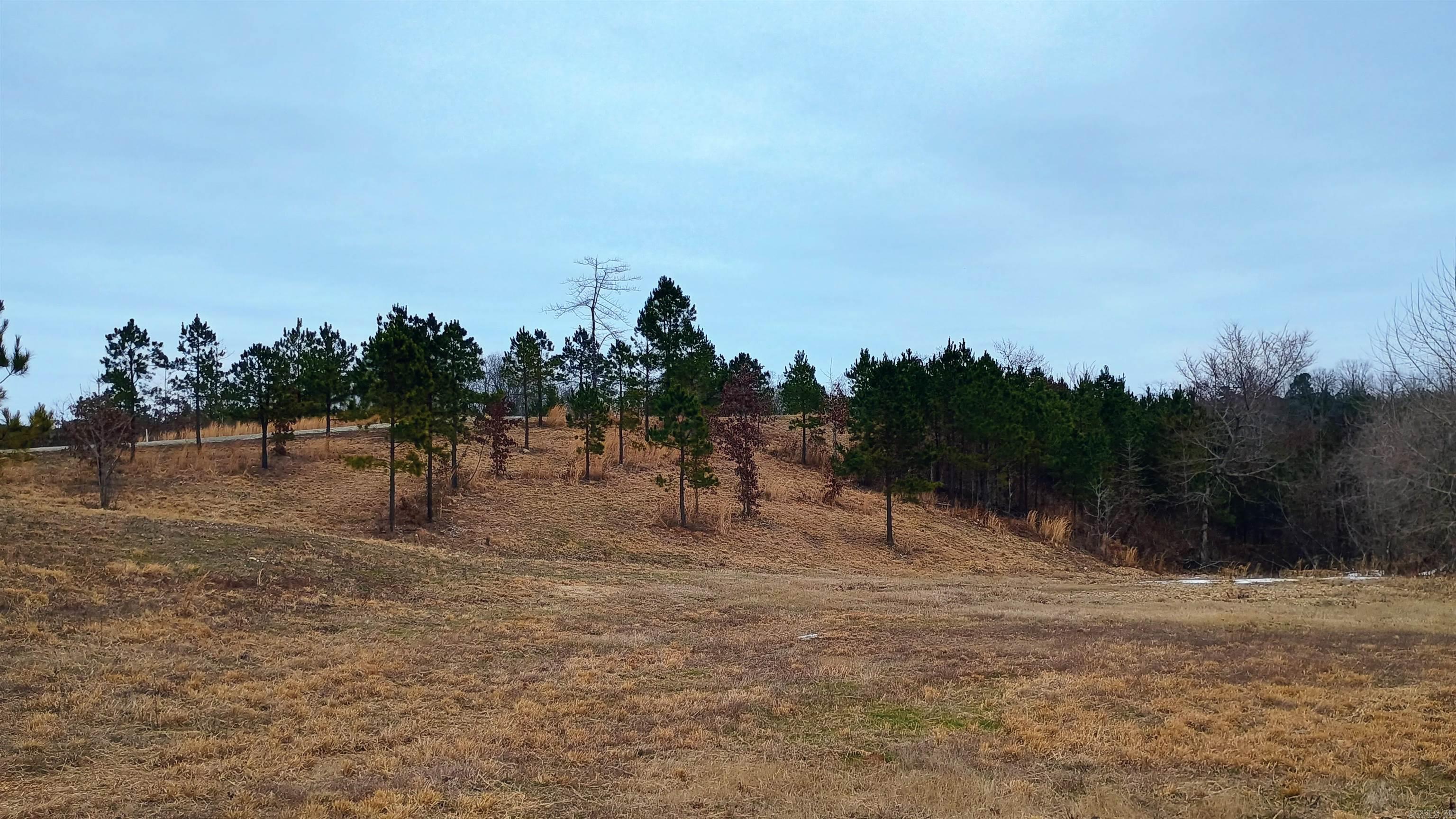 OTAZA LAKE ESTATES - Land