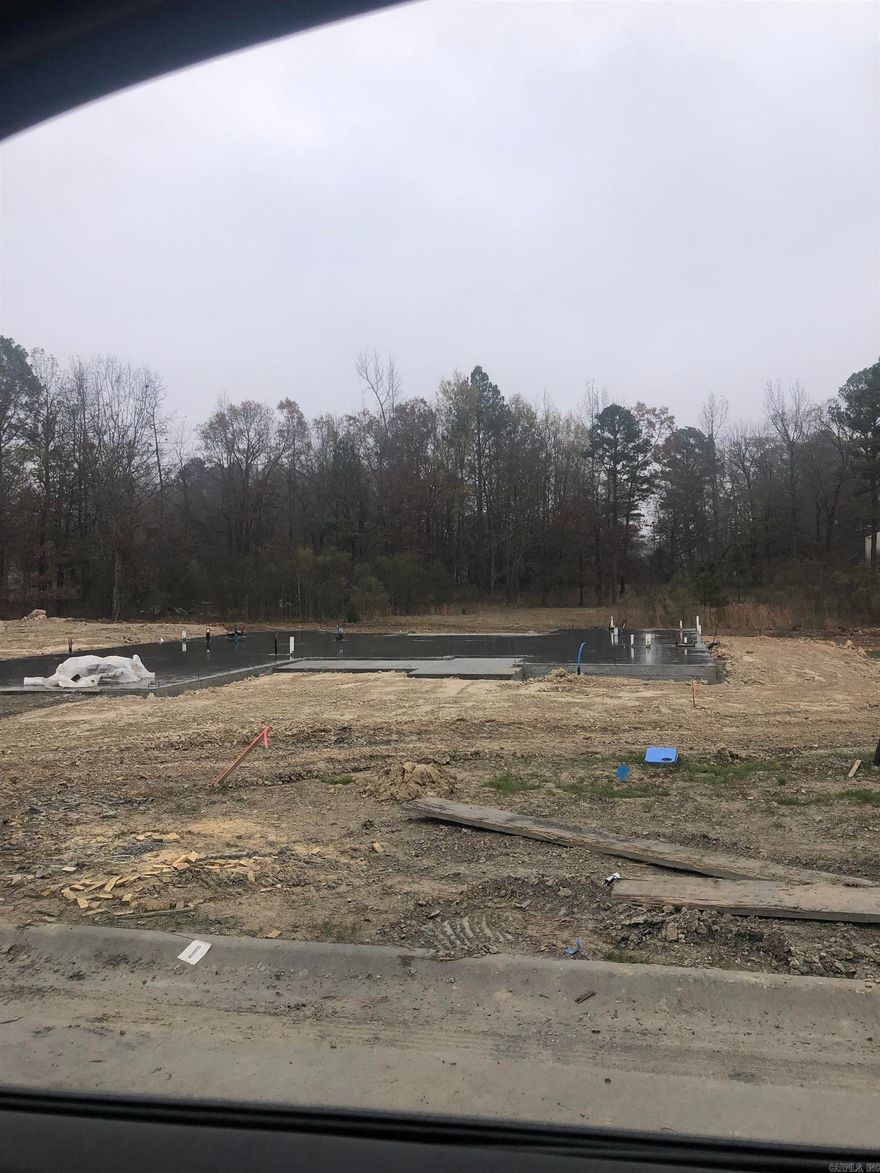 New construction! Spacious new home with private backyard that faces green space. Large picture windows in the great room and breakfast room. 4 bedrooms with an office / study room. Large covered back porch and covered front porch. All brick exterior. High efficiency spray foam insulation.