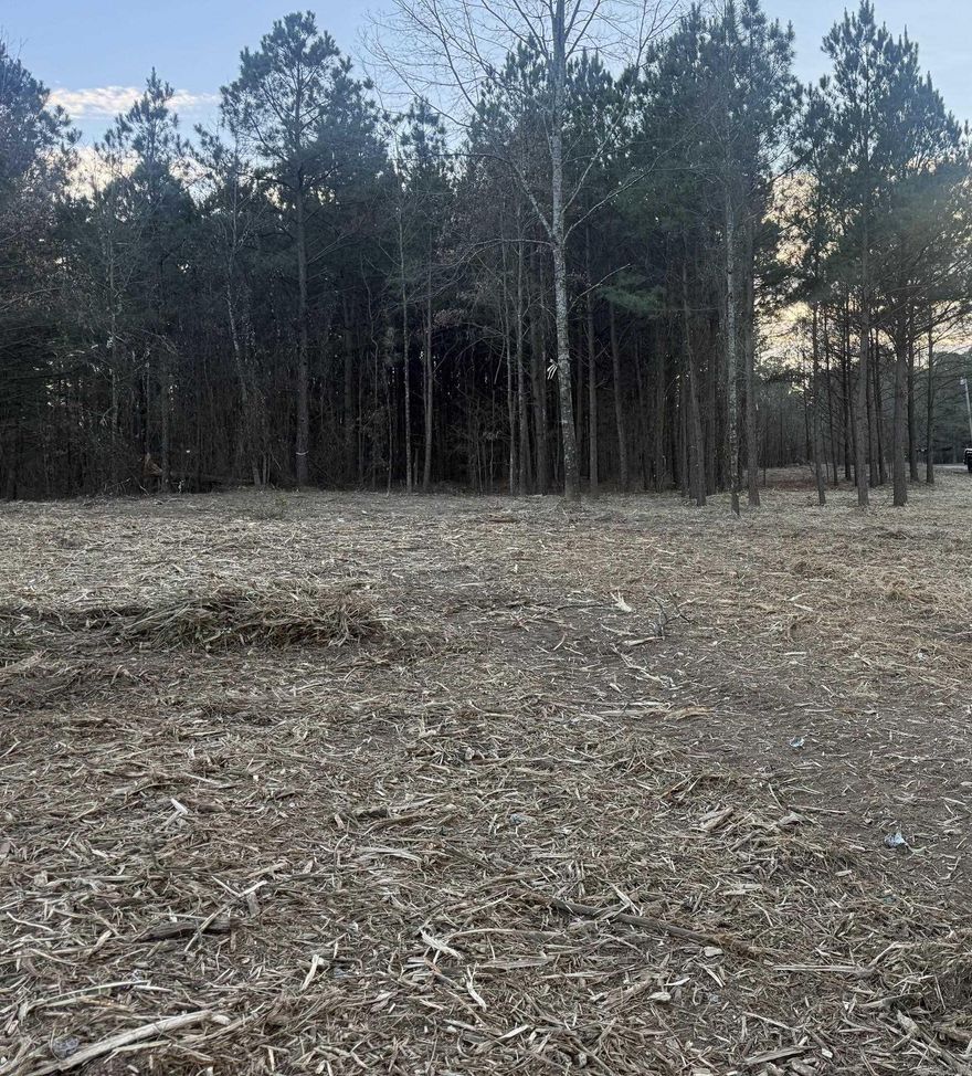 This acreage is ready for new home or mobile home.