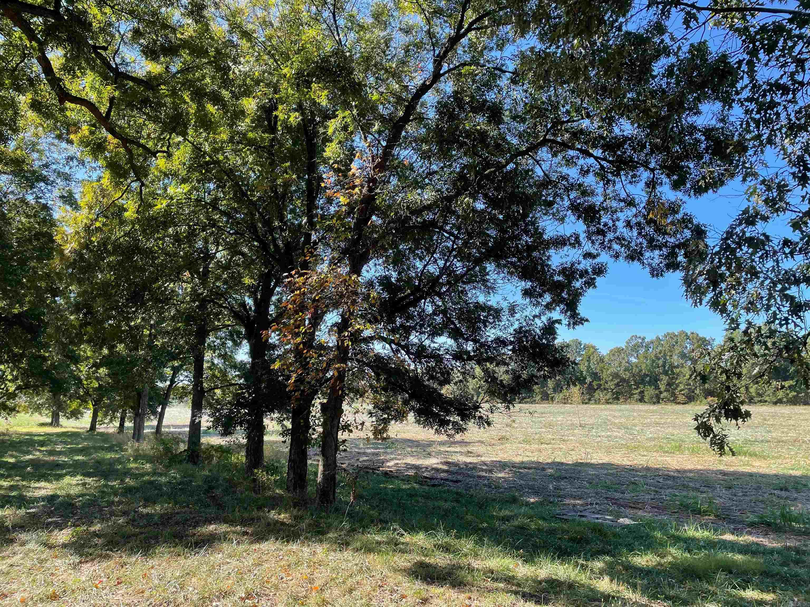 Beautiful 5 acre lot. Property has water and electric available. Excellent lot to build your dream home. Convenient to both Paragould and Jonesboro.