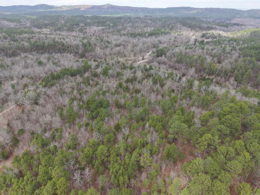 10± wooded acres in Montgomery County offering privacy and direct access to nature. The property borders the Ouachita National Forest on the east side, providing additional space to explore, hunt, and enjoy the outdoors. Located just a short distance from the South Fork of the Ouachita River, this tract is well suited for hunting, recreation, or a secluded getaway. The land is wooded and private, giving you the opportunity to shape it into whatever fits your needs. No utilities are currently on the property. Survey pending. Mineral rights convey.