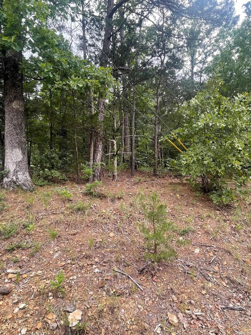 Welcome to your own slice of paradise in beautiful Fairfield Bay, Arkansas! This spacious vacant lot offers the perfect opportunity to build your dream home in one of the most desirable locations in the state, with access to a wealth of amenities.  Just minutes away from stunning Greers Ferry Lake. Whether you're an avid fisherman, boater, or simply enjoy relaxing by the water, this location has something for everyone. But that's not all Fairfield Bay also offers a wide range of amenities to its residents, including 3 swimming pools, 2 18-hole golf courses, hiking and biking trails, ATV/UTV trails, pickleball and tennis courts, and a full-service marina. Whether you're looking for outdoor adventure, a friendly game of tennis, or a relaxing day by the pool, Fairfield Bay has you covered. The lot itself is generously sized and offers plenty of room for your custom-built home, as well as any additional amenities you desire. With easy access to utilities and services, including water, sewer, and electricity, you'll have everything you need to make your dream a reality.  Buyer to pay all closing costs and title insurance.