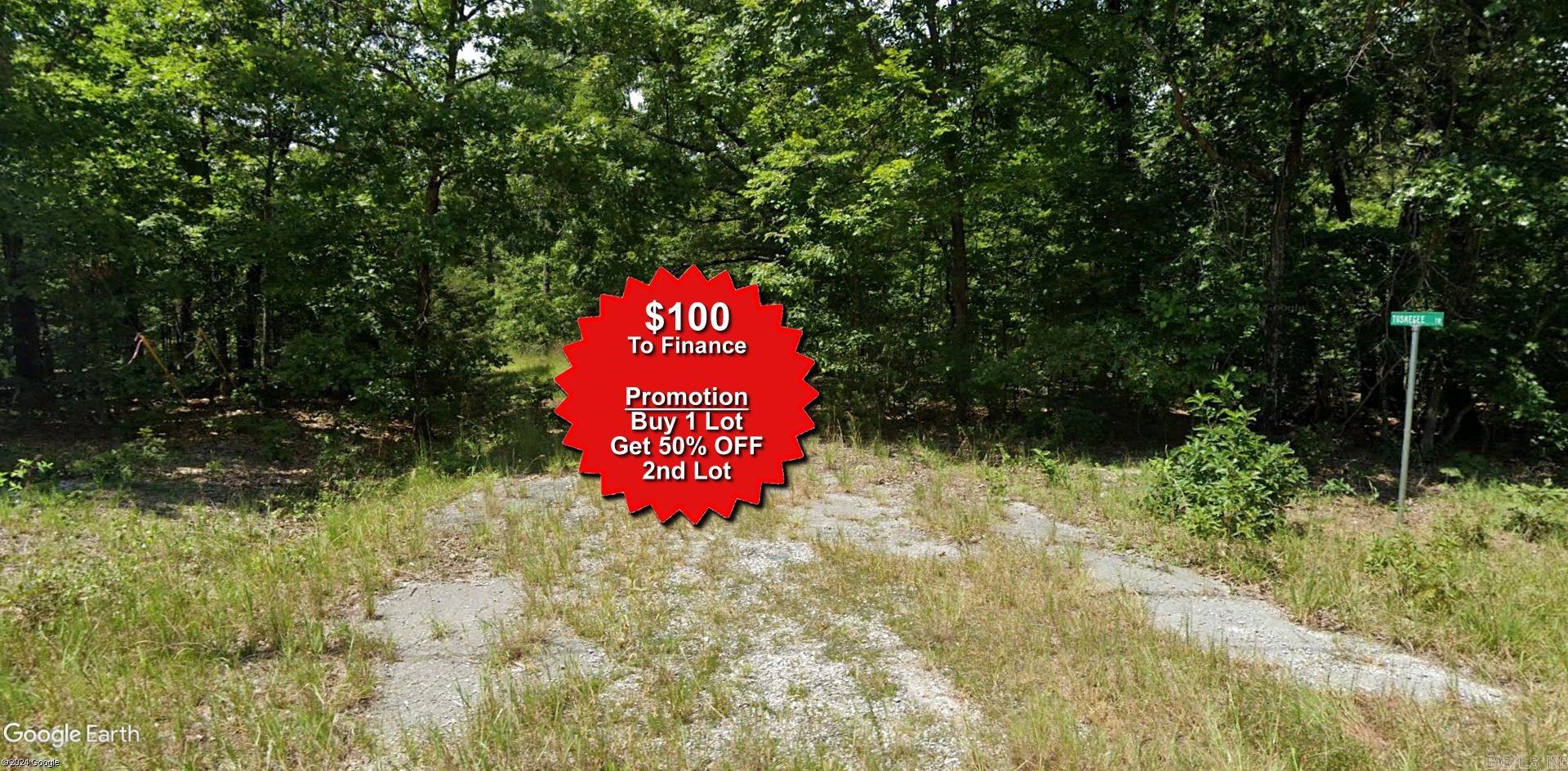 Buy one lot and get 50% off an additional lot! Owner-finance for easy terms. Cash buyers can pay by debit or credit card as well. Nice lot to develop or hold for future value. Public water and electric are available to run to property and will need septic. Owner/agent. No mobiles allowed. 300-2500 minimum build size on any other type of home, depending on subdivision. Finance is 5 months at $194 and closing costs are included. Lots marked with red banner are part of promotion. No limit on lots. Buyer responsible for any/all taxes and lots sold "as-is". Quit claim deed conveys. Parcel ID# 400-21373-000