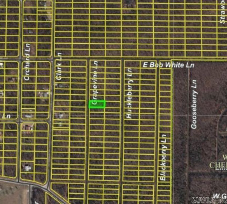 Vacant/Undeveloped residential lot located in Horseshoe Bend along Grapevine Ln. A great opportunity to own property in Arkansas. Owner financing is available!