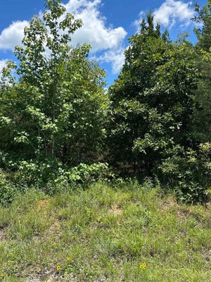 212 BYARS RD, BEEBE, AR 72012 - Image 00e6e2c41cc261e04c14288db8e1bdce/1964411804