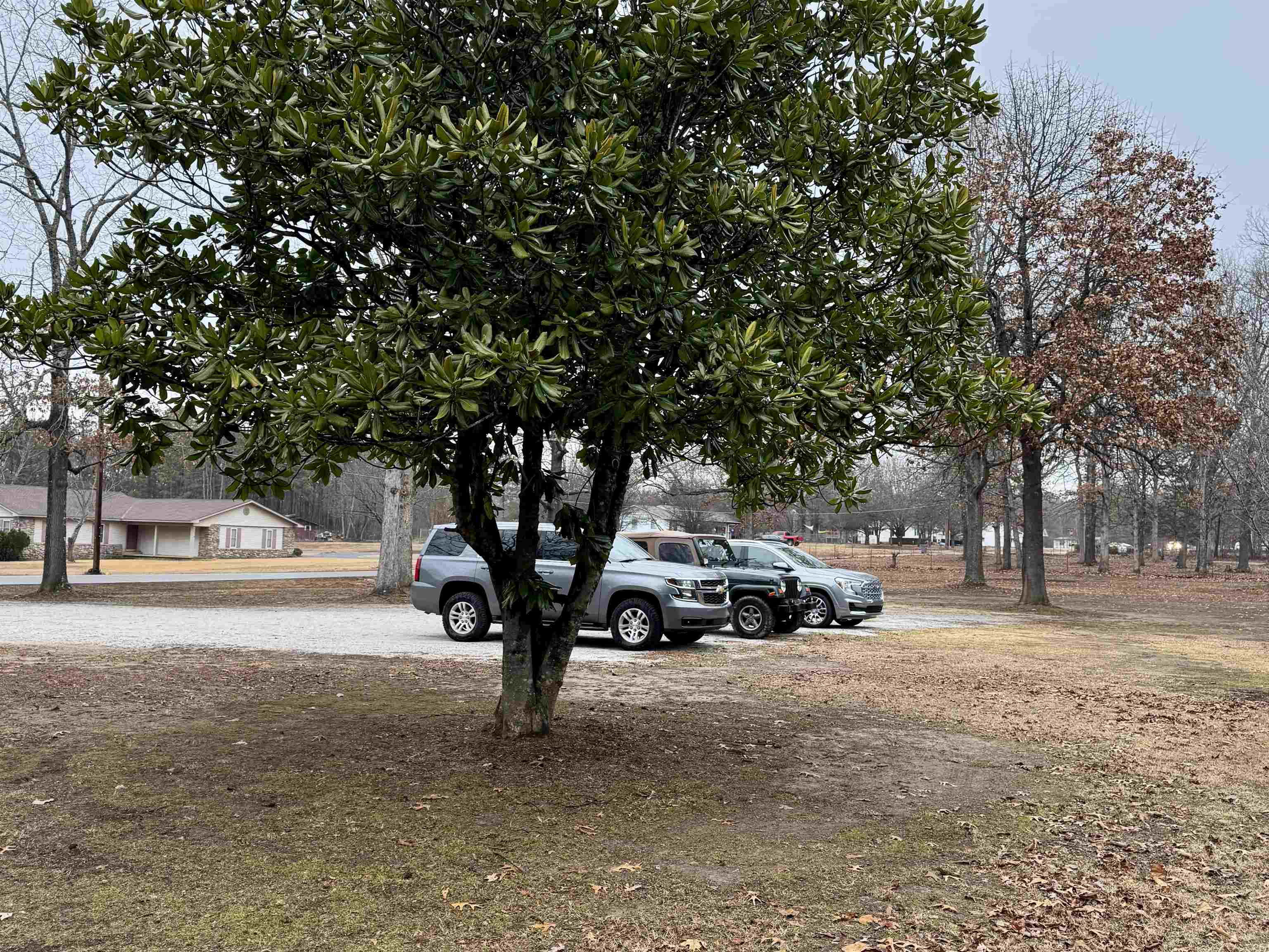 Metes & Bounds - Residential