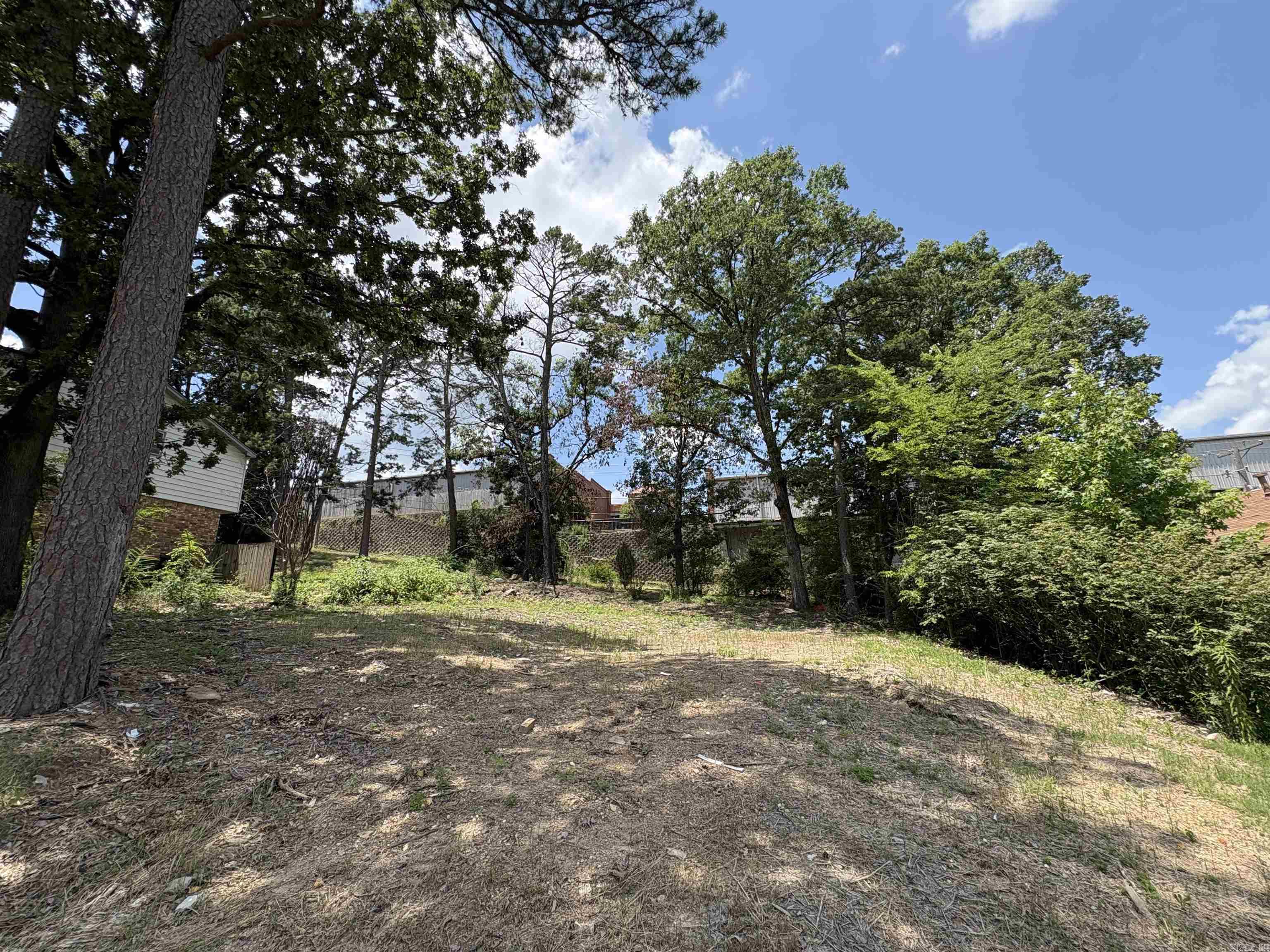 Markham Pines - Land