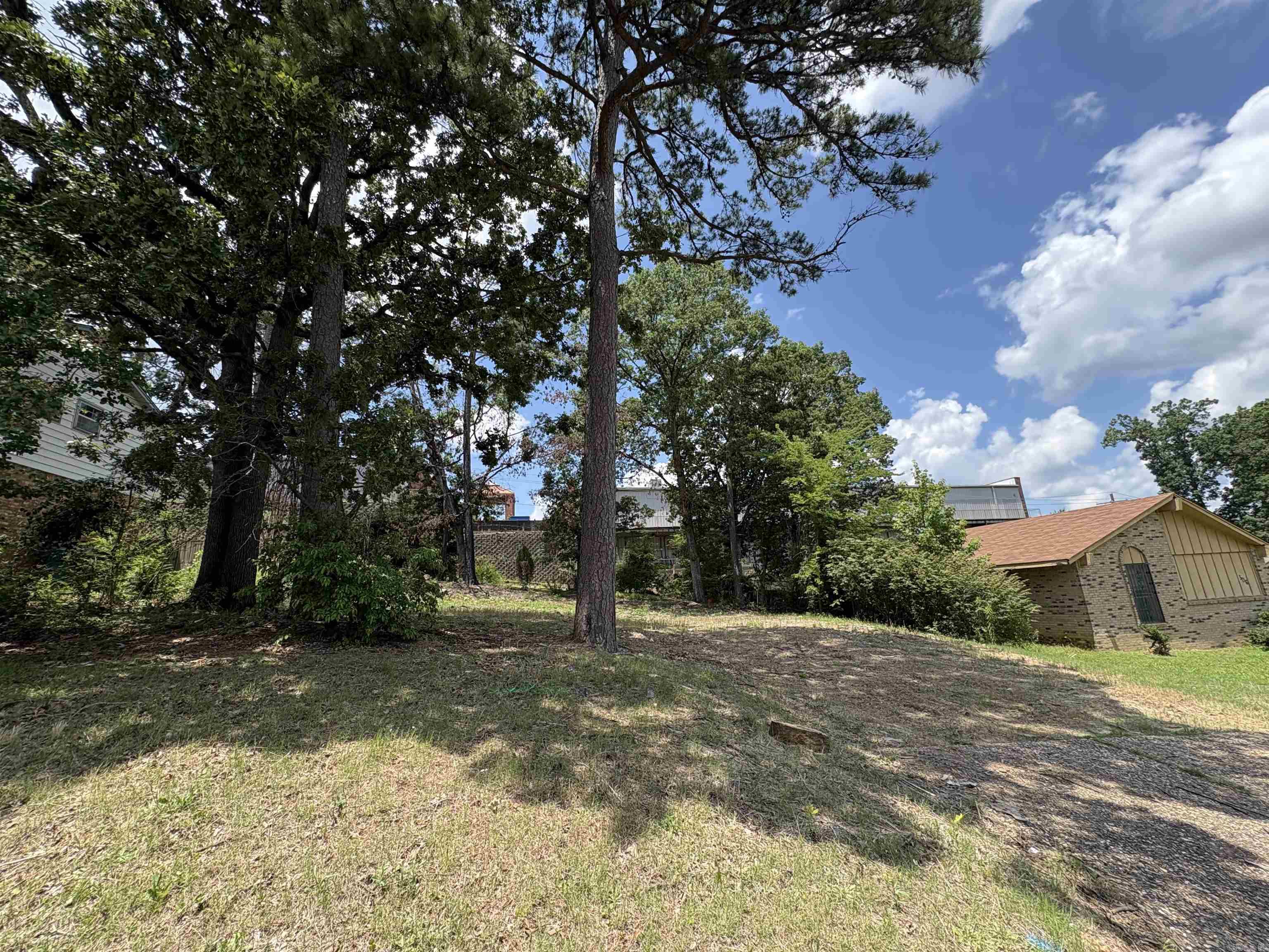 Markham Pines - Land