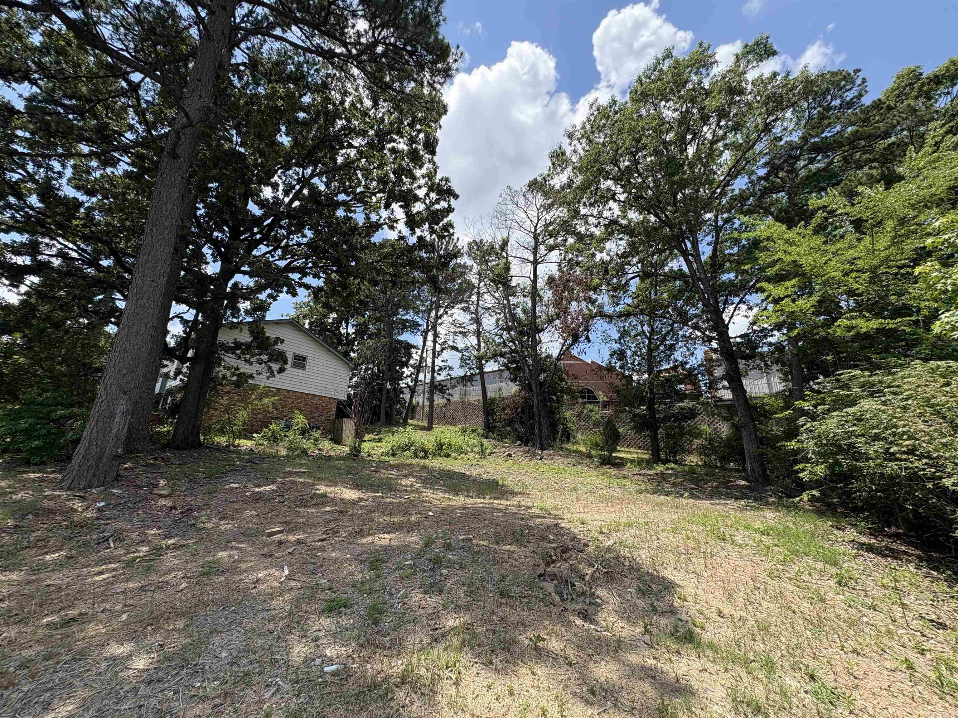 Markham Pines - Land