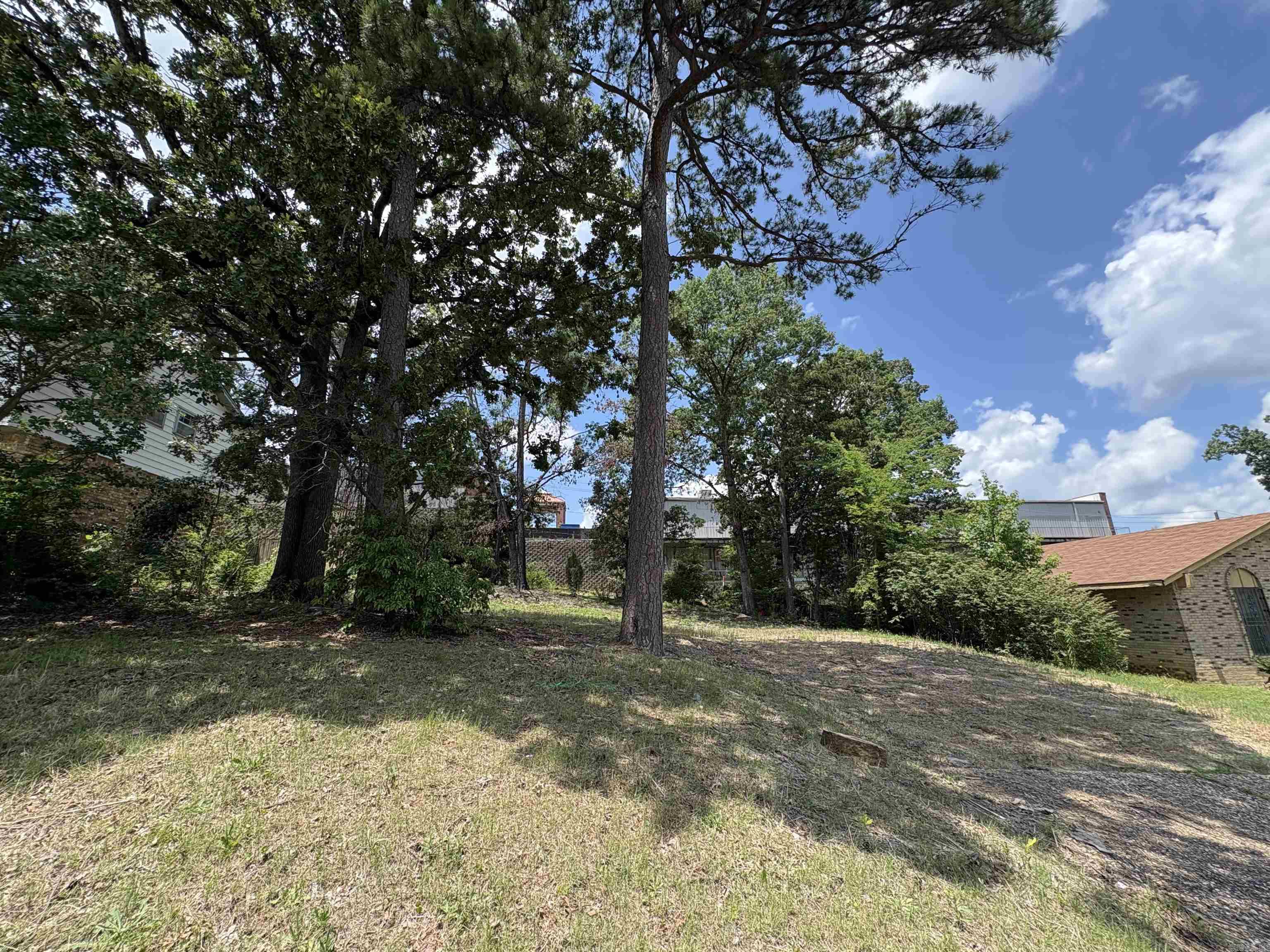 Markham Pines - Land