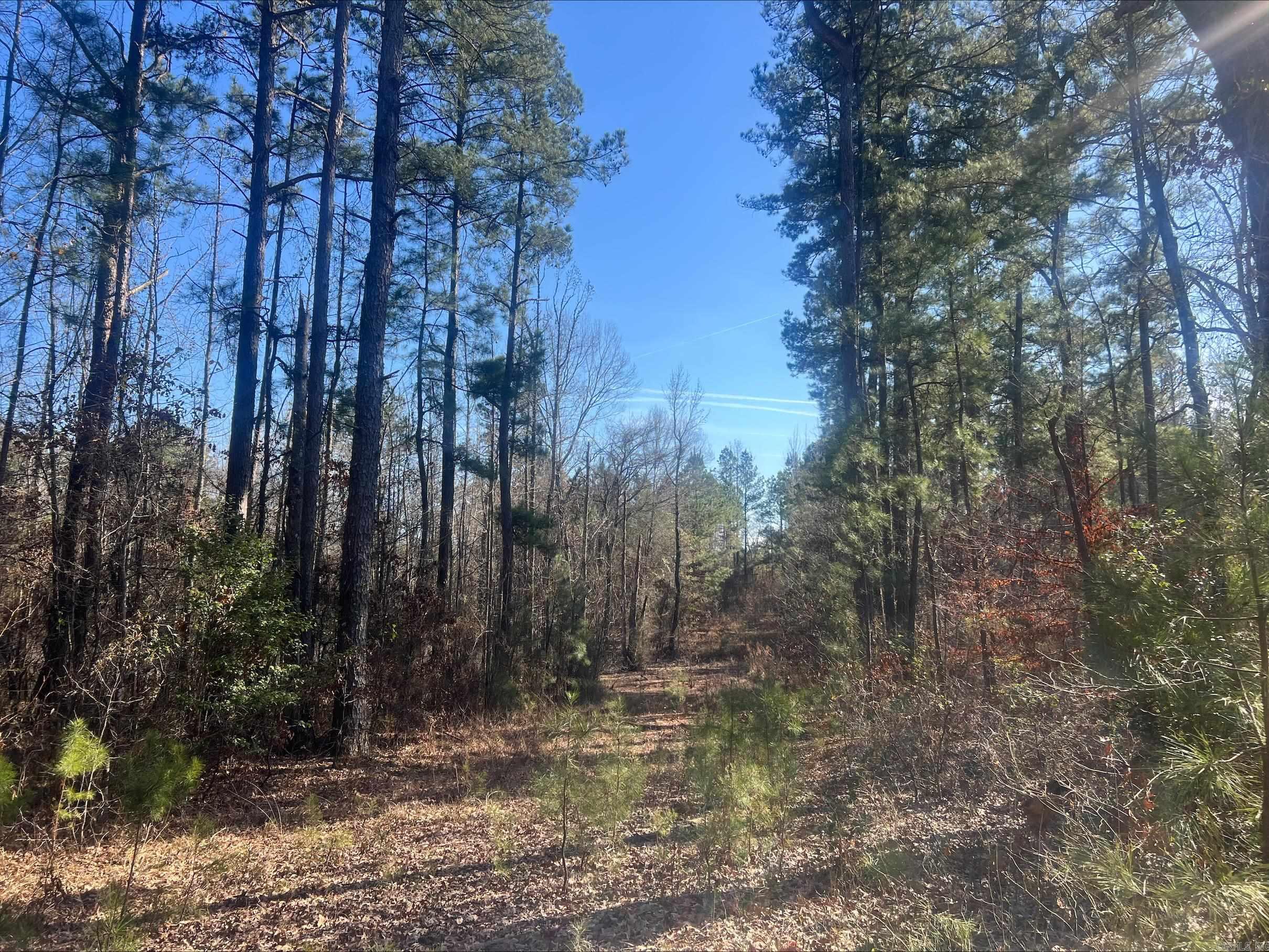 Not in Subdivision - Land