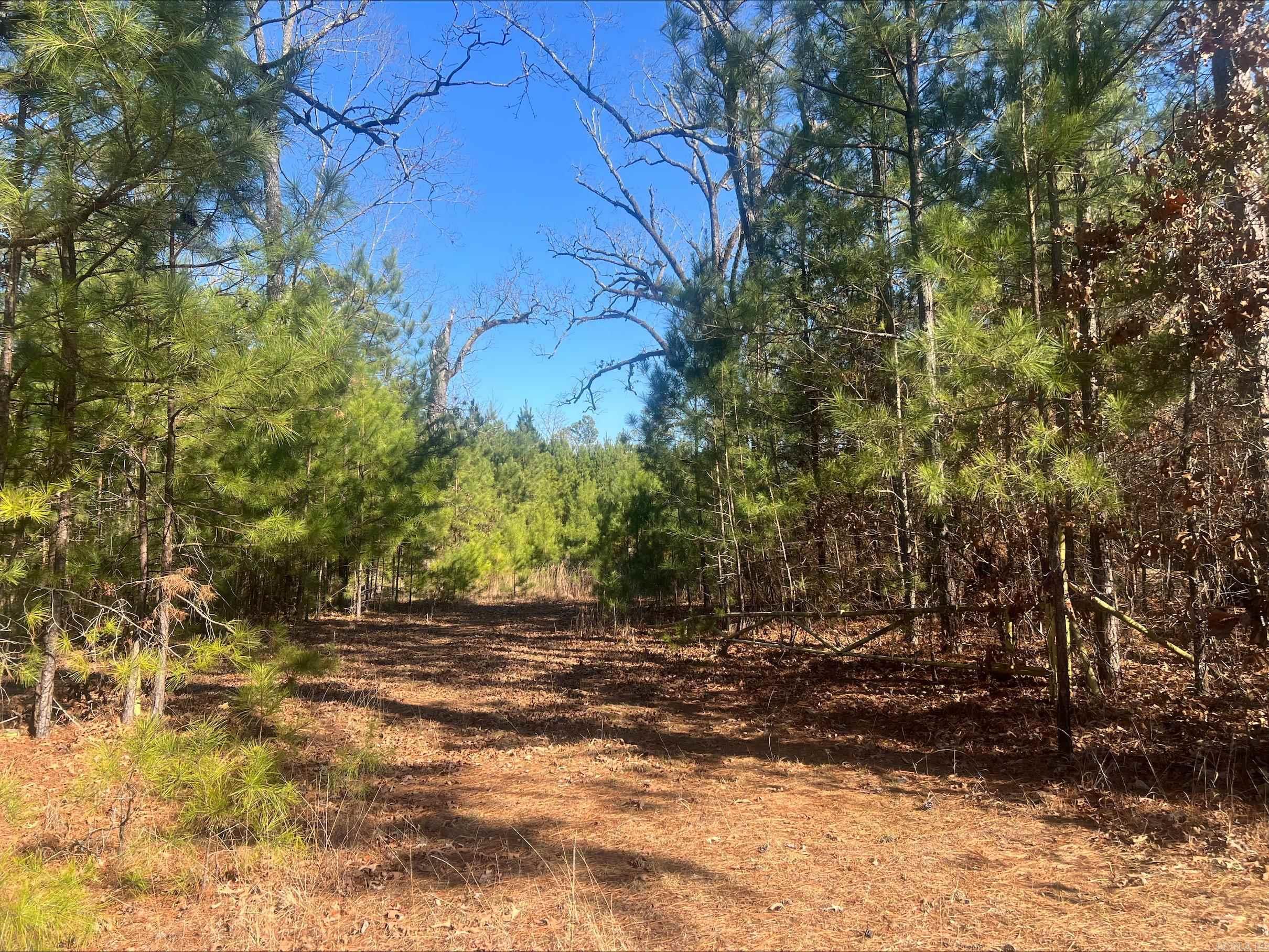 Not in Subdivision - Land