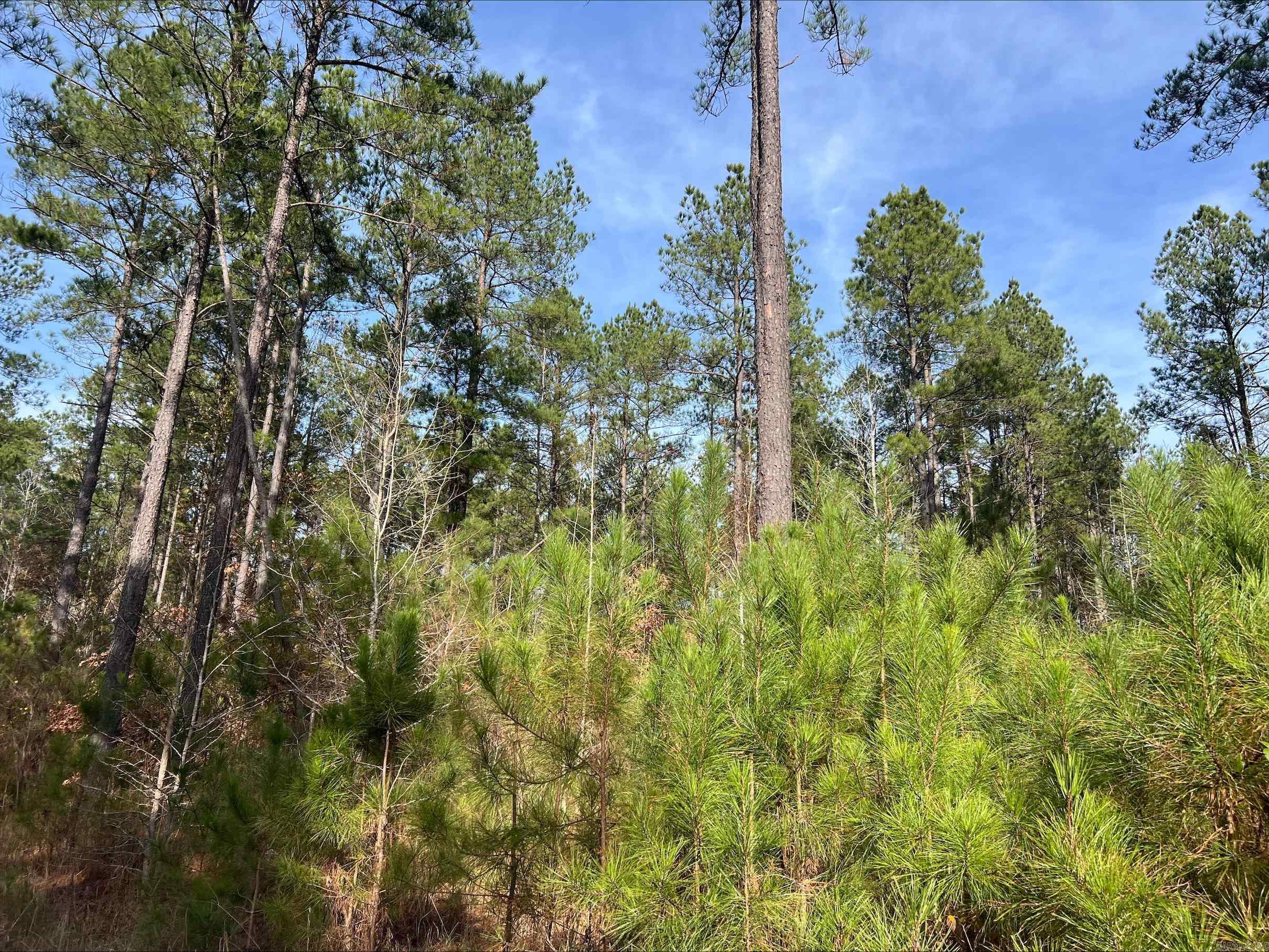 Not in Subdivision - Land